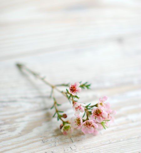f:id:hiiragi1111:20181127155226j:plain