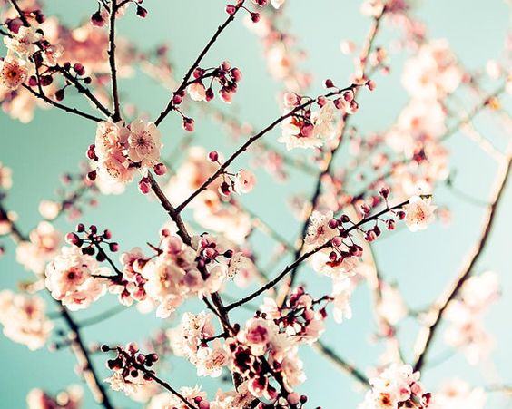 f:id:hiiragi1111:20190228124145j:plain f:id:hiiragi1111:20190228124145j:plain