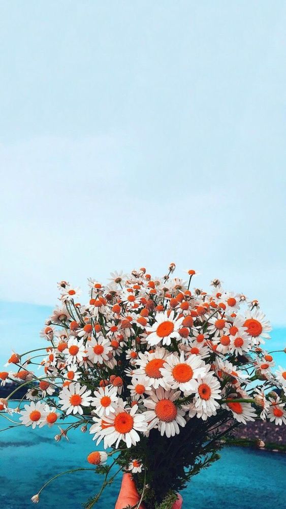 f:id:hiiragi1111:20190428184145j:plain