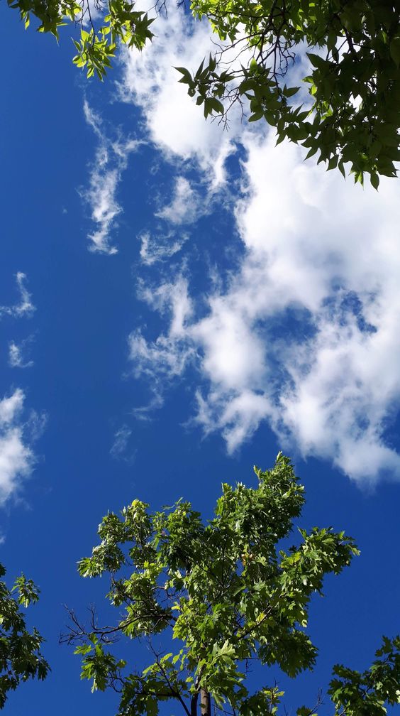f:id:hiiragi1111:20190516192942j:plain
