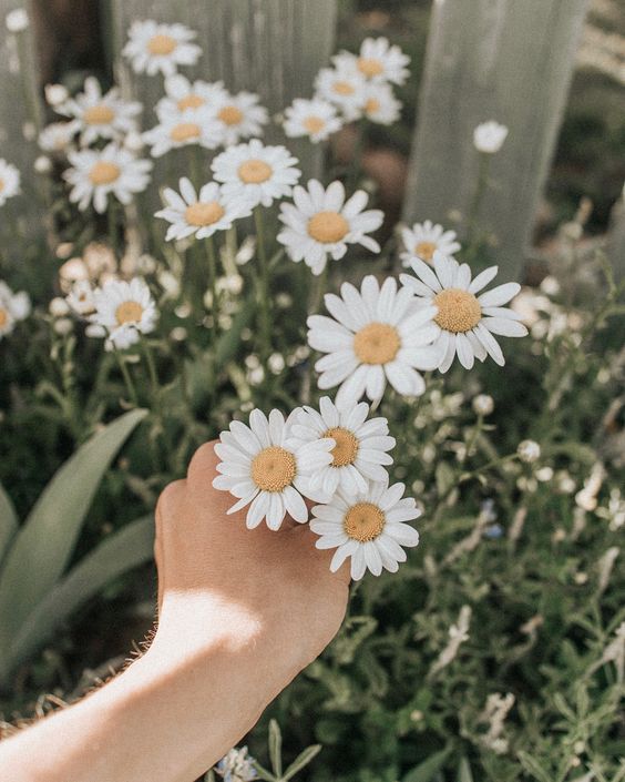 f:id:hiiragi1111:20190626154428j:plain