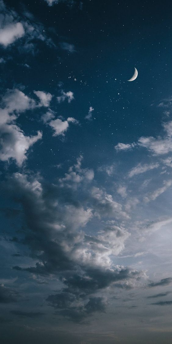 f:id:hiiragi1111:20190729132519j:plain