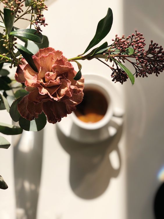 f:id:hiiragi1111:20190730142932j:plain f:id:hiiragi1111:20190730142932j:plain