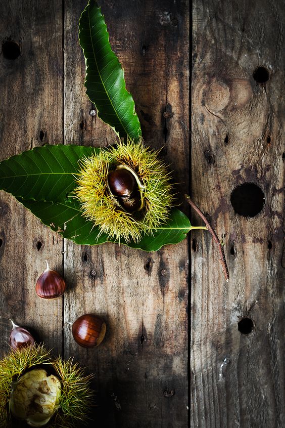 f:id:hiiragi1111:20191002204356j:plain