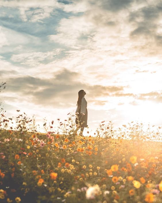 f:id:hiiragi1111:20191026114055j:plain f:id:hiiragi1111:20191026114055j:plain