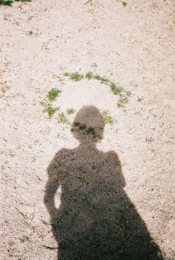 f:id:hiiragi1111:20200717160959j:plain