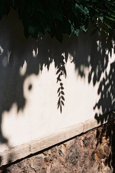 f:id:hiiragi1111:20200721162133j:plain f:id:hiiragi1111:20200721162133j:plain