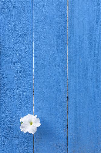 f:id:hiiragi1111:20200723114425j:plain