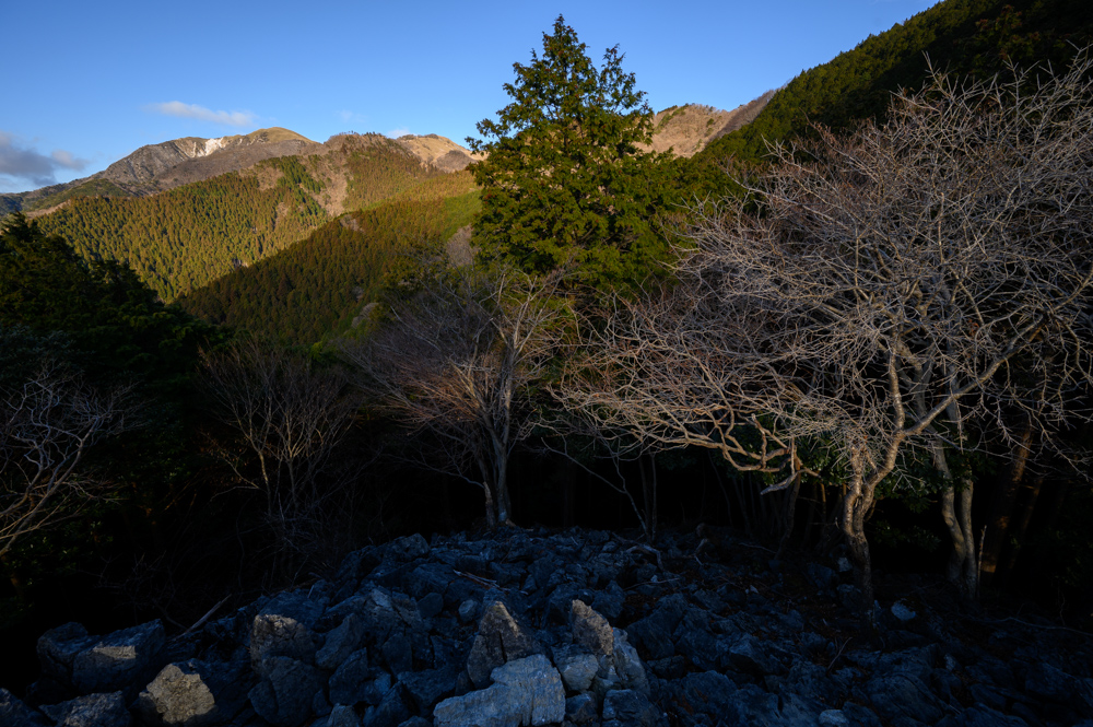 f:id:hiiro1017:20200125164505j:plain