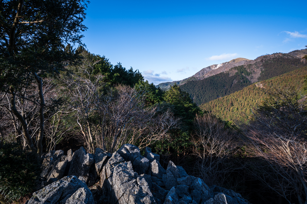 f:id:hiiro1017:20200125182703j:plain