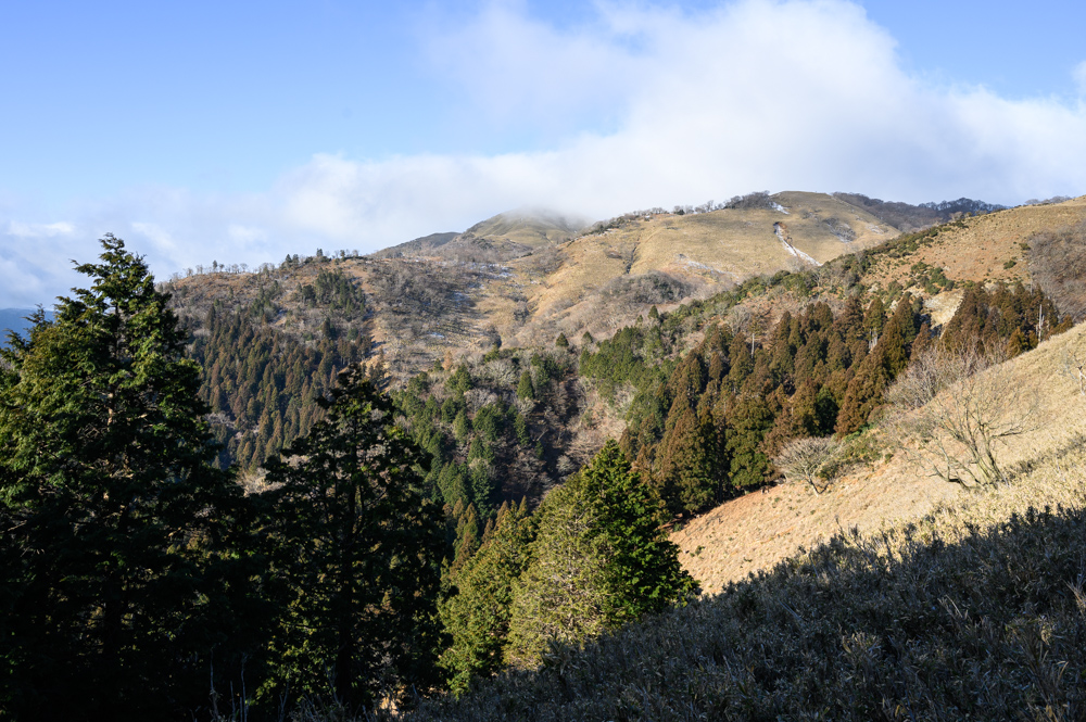 f:id:hiiro1017:20200125183017j:plain