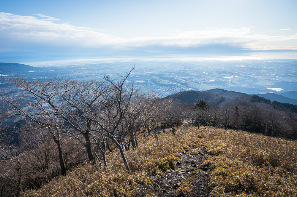 f:id:hiiro1017:20200125183646j:plain