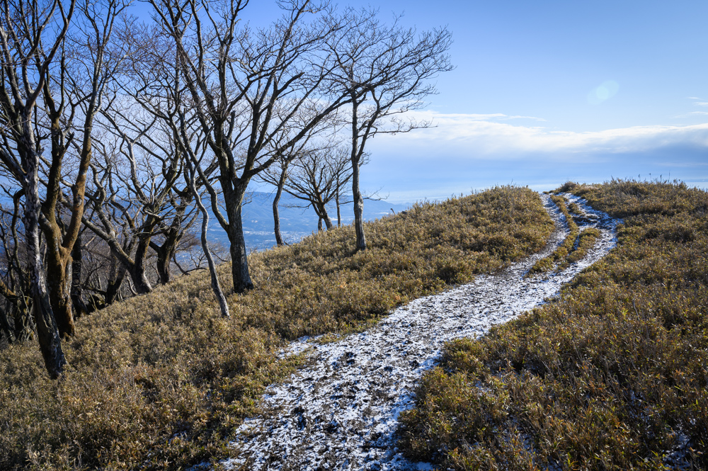 f:id:hiiro1017:20200125183836j:plain