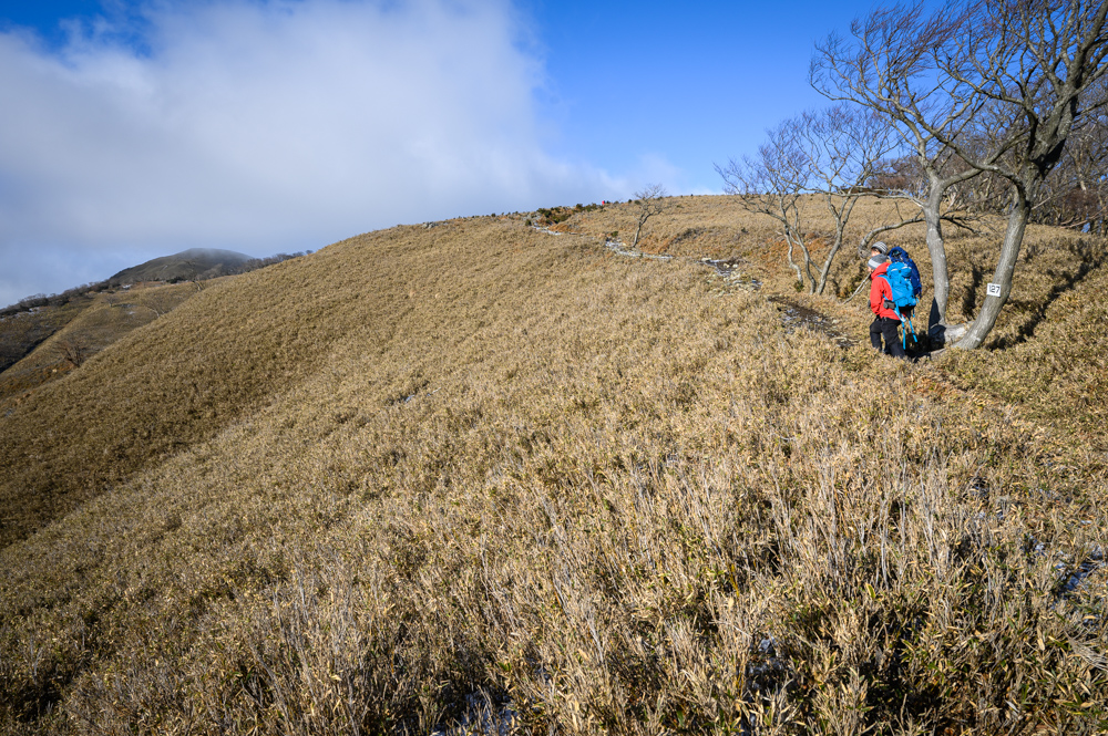 f:id:hiiro1017:20200125184231j:plain