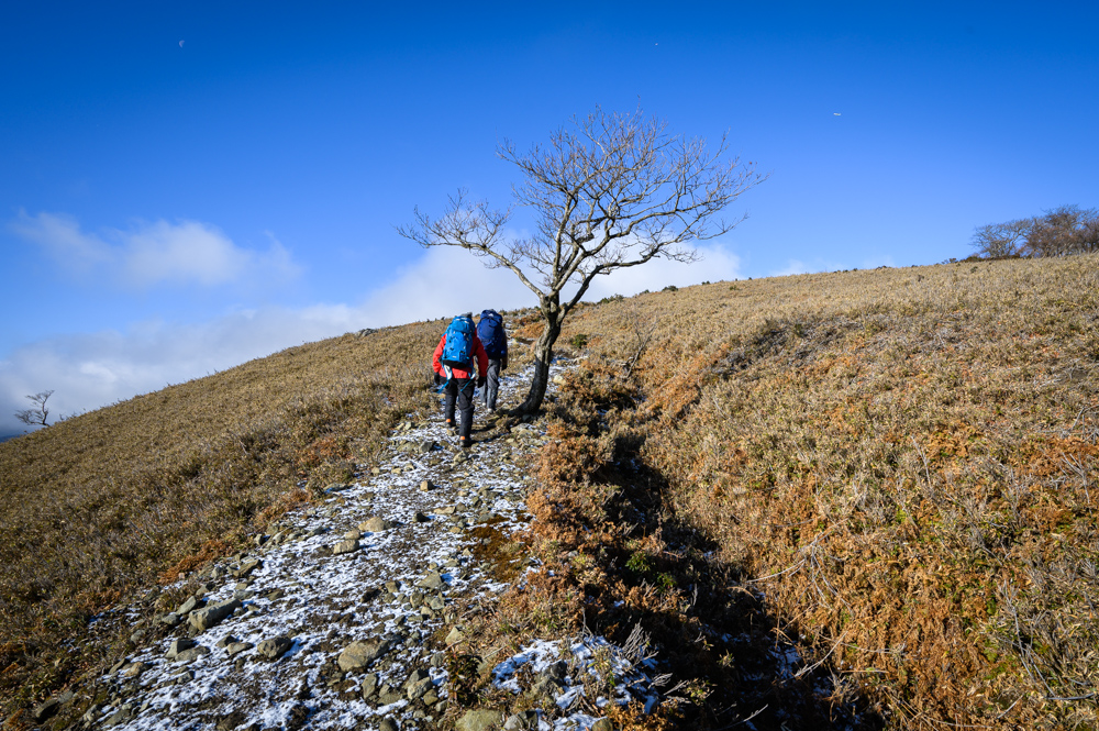 f:id:hiiro1017:20200125184408j:plain