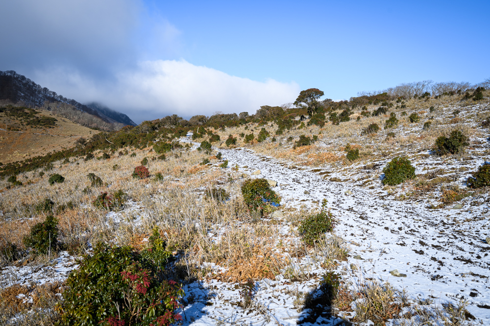 f:id:hiiro1017:20200125184516j:plain