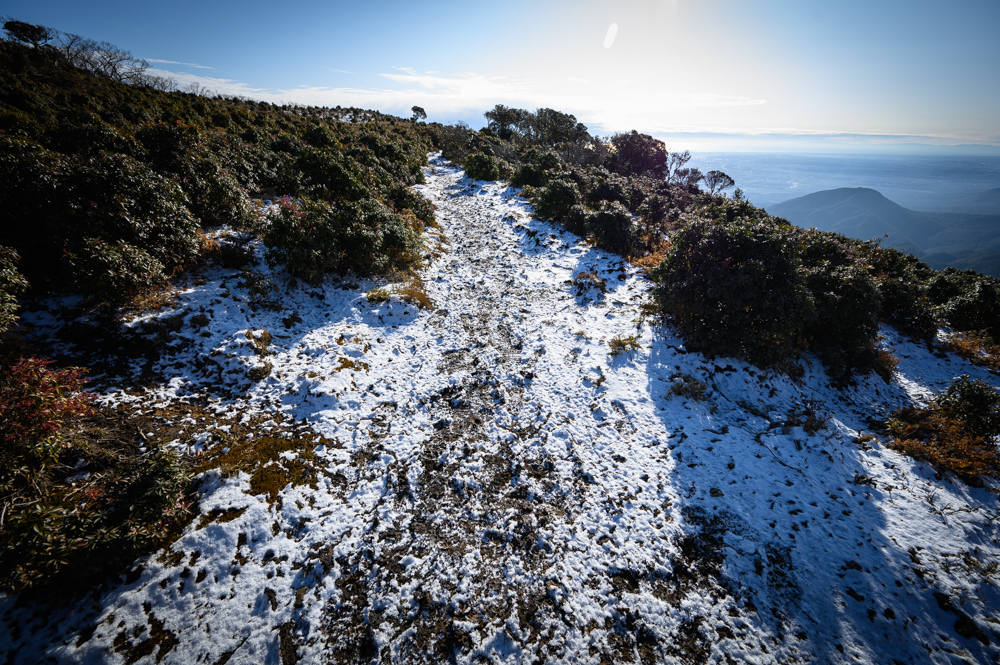 f:id:hiiro1017:20200125184744j:plain