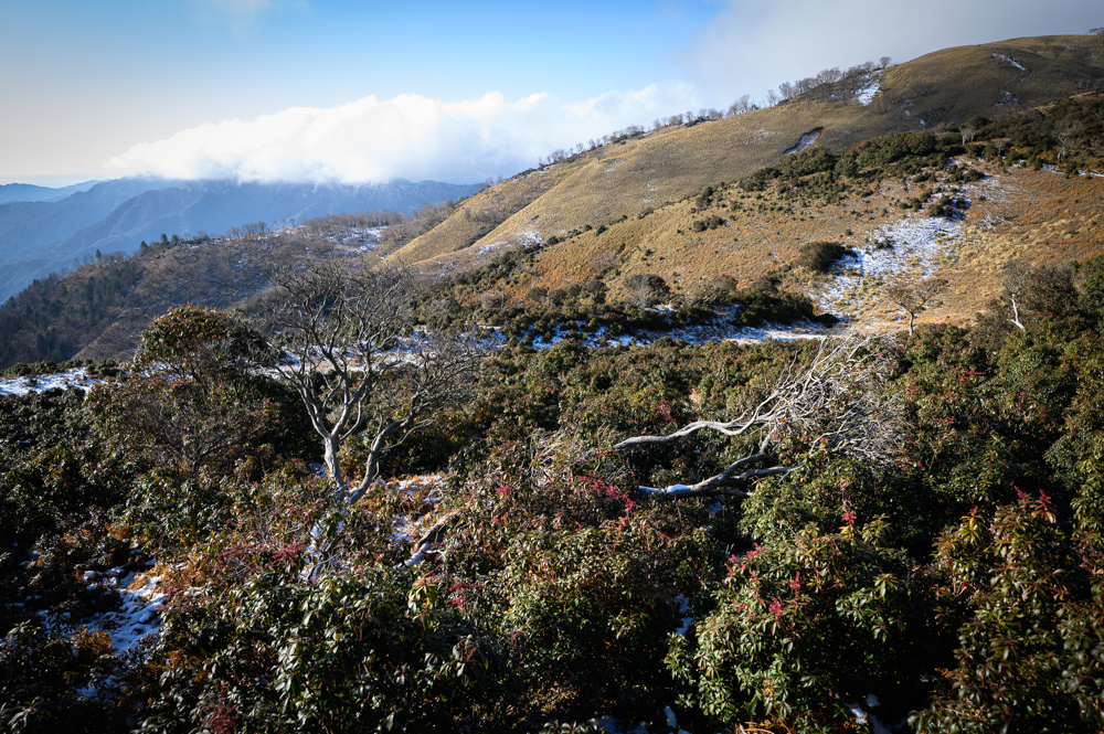 f:id:hiiro1017:20200125194722j:plain