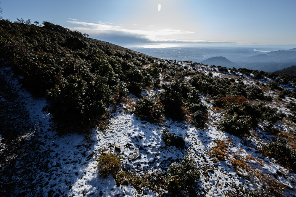 f:id:hiiro1017:20200125195105j:plain