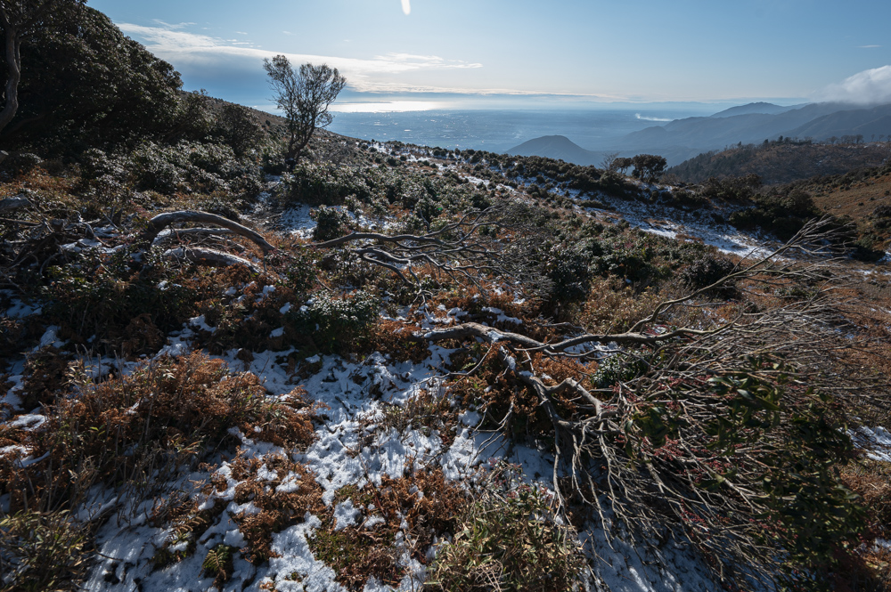 f:id:hiiro1017:20200125195121j:plain