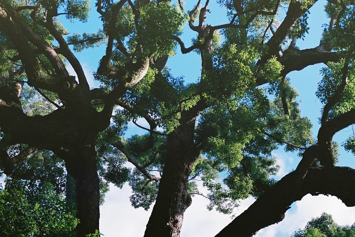 f:id:hiiro1017:20200203215611j:plain