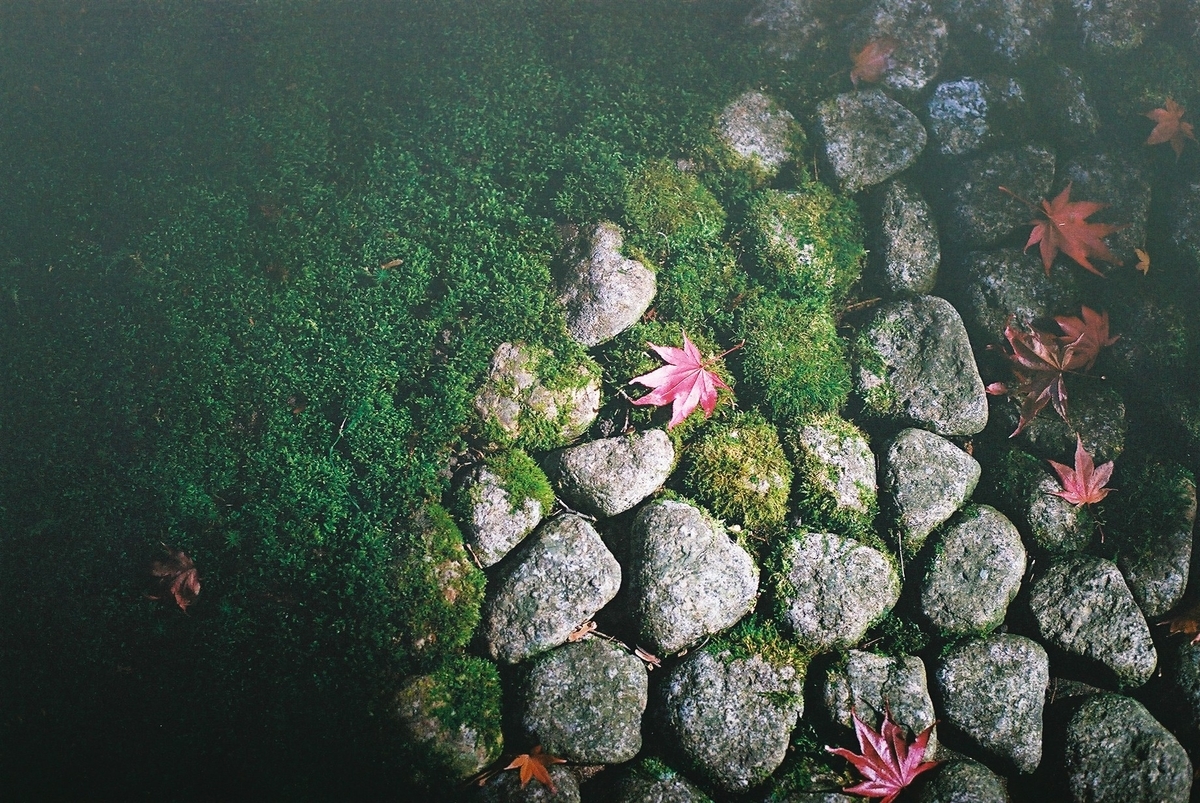 f:id:hiiro1017:20200203215616j:plain