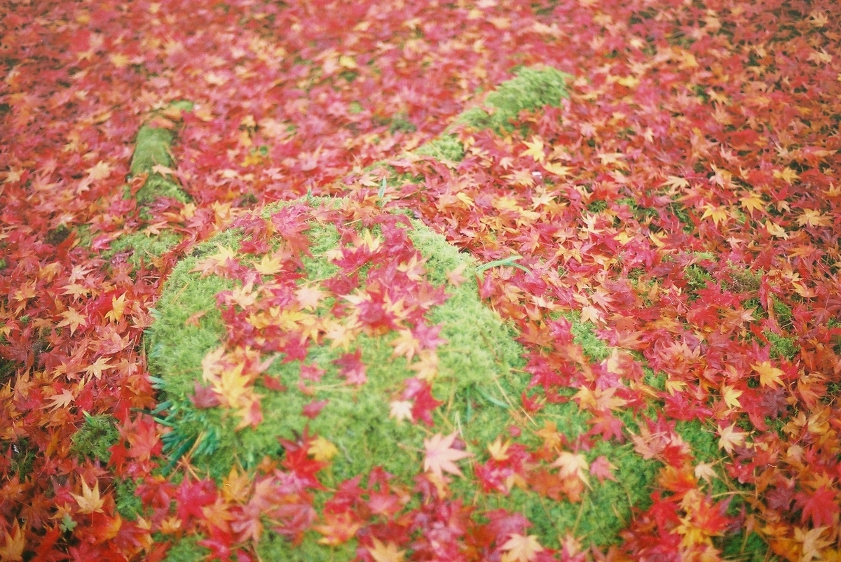 f:id:hiiro1017:20200203220547j:plain