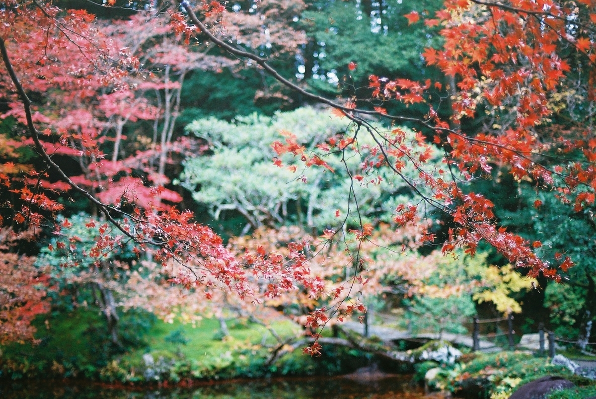 f:id:hiiro1017:20200203220602j:plain