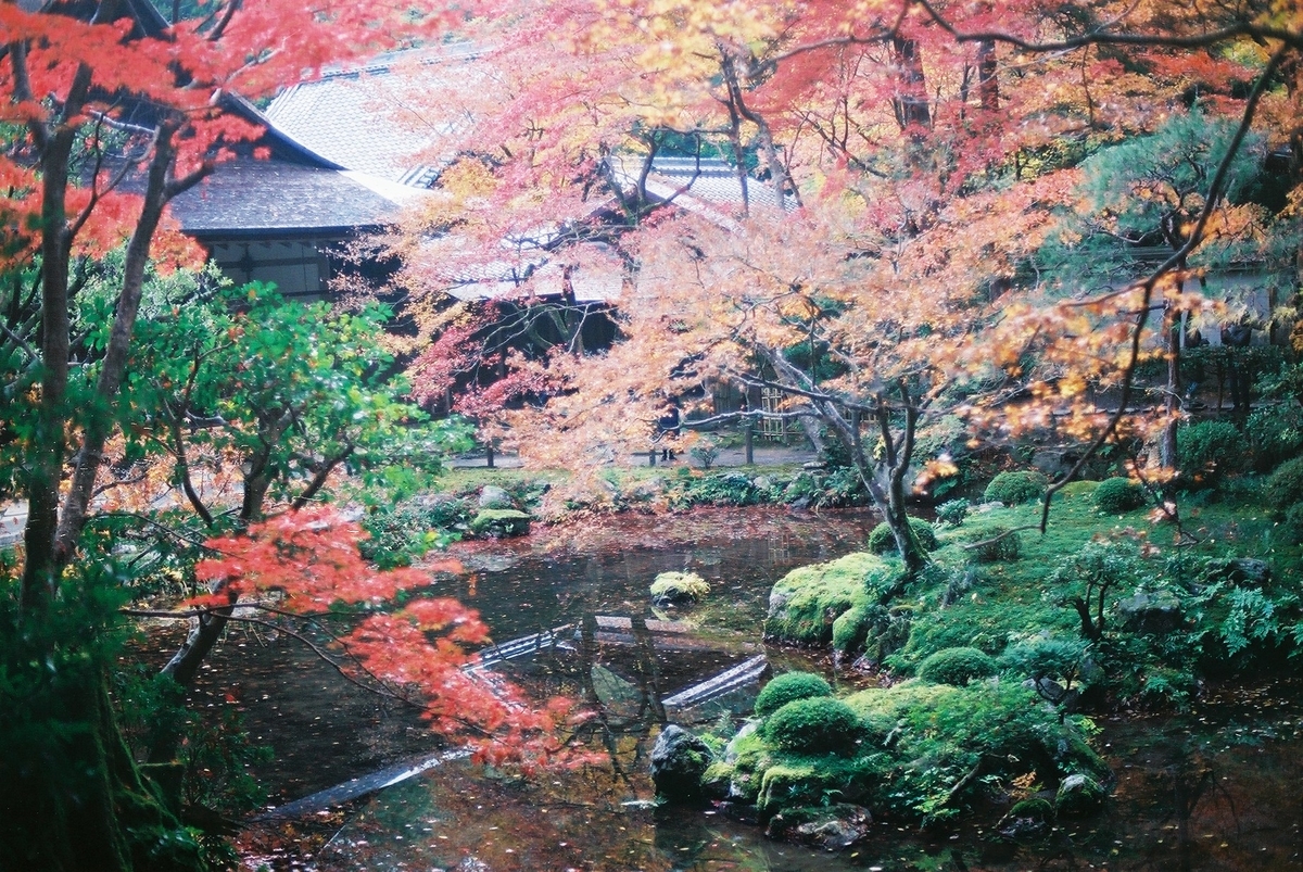 f:id:hiiro1017:20200203220607j:plain