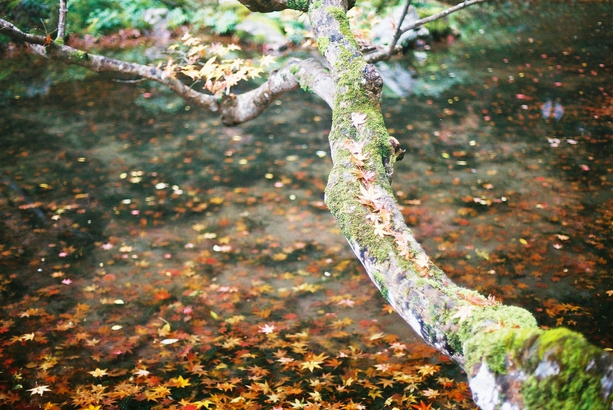 f:id:hiiro1017:20200203220611j:plain