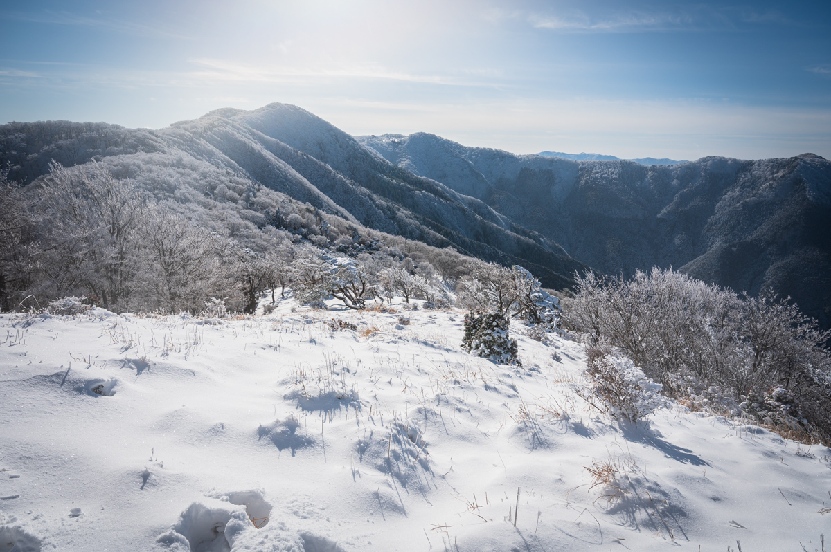 f:id:hiiro1017:20200213210929j:plain