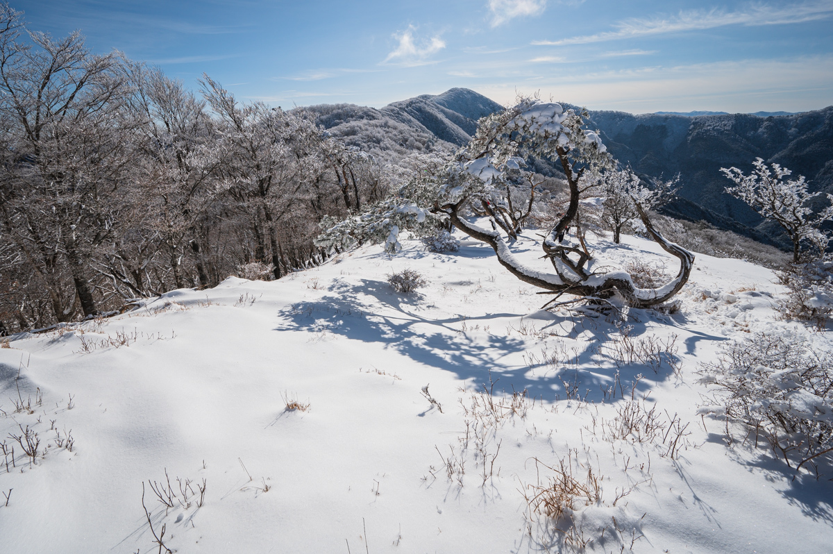 f:id:hiiro1017:20200213211532j:plain