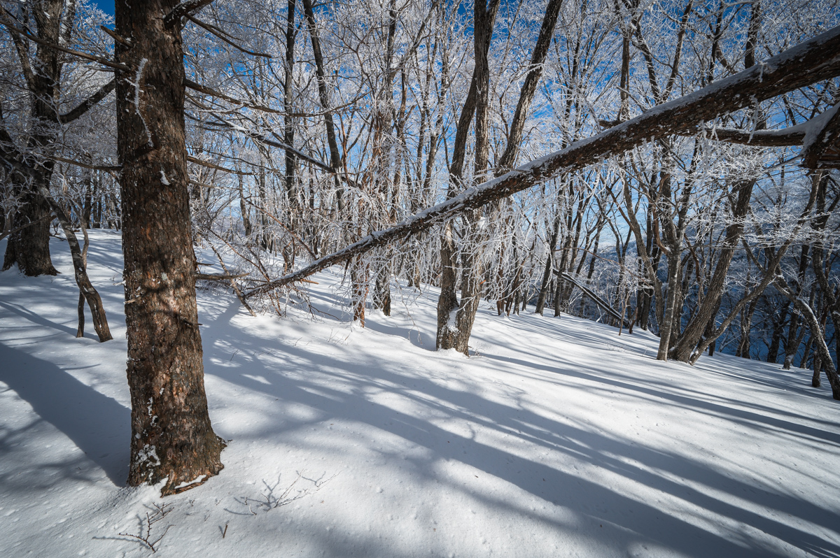 f:id:hiiro1017:20200213211659j:plain