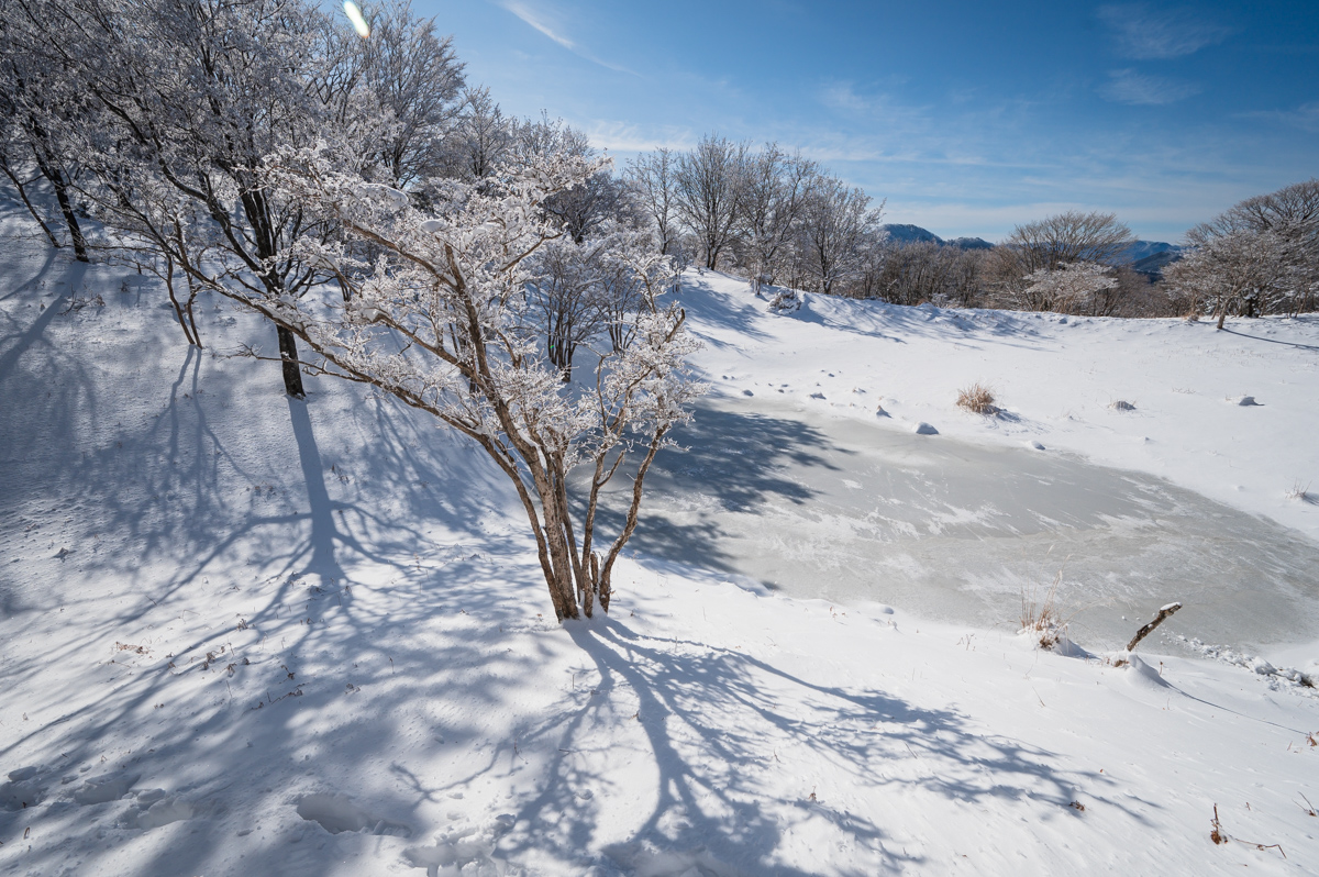 f:id:hiiro1017:20200213211703j:plain