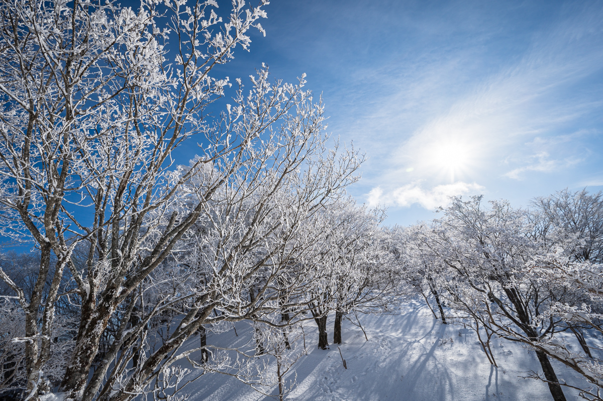 f:id:hiiro1017:20200213211707j:plain