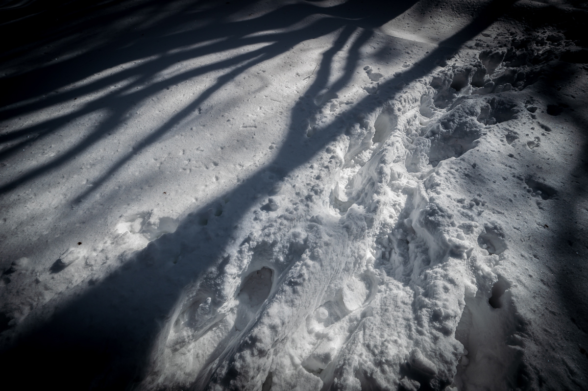 f:id:hiiro1017:20200213211926j:plain