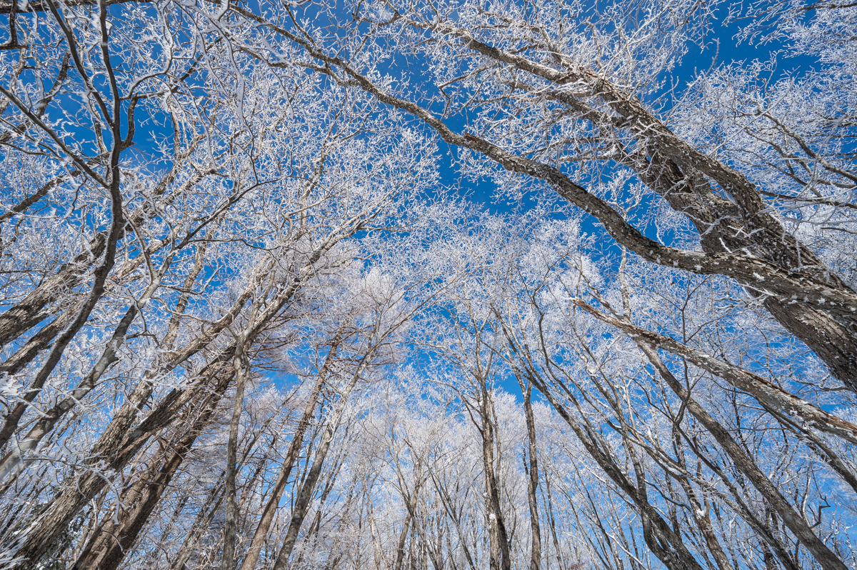 f:id:hiiro1017:20200213211929j:plain