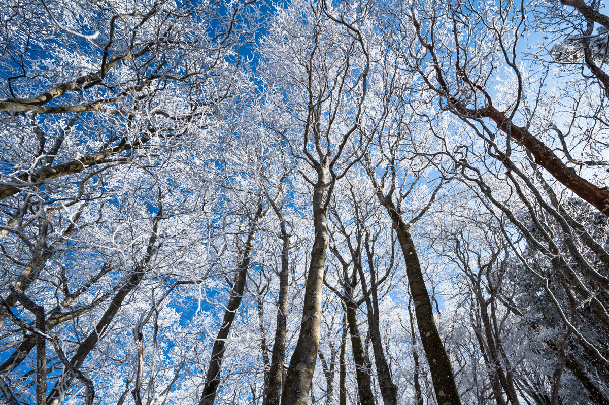 f:id:hiiro1017:20200213211932j:plain