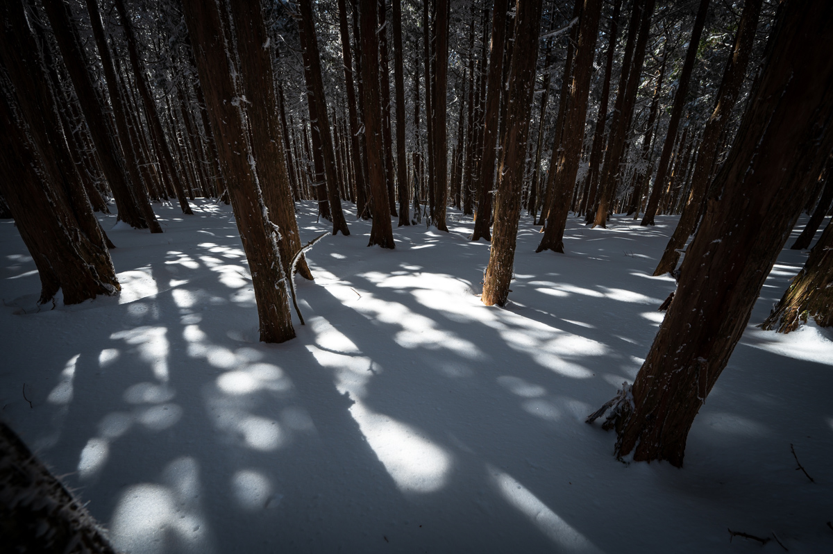 f:id:hiiro1017:20200213212401j:plain