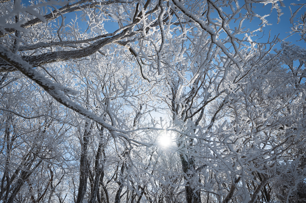 f:id:hiiro1017:20200213212405j:plain