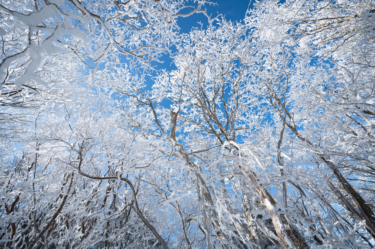 f:id:hiiro1017:20200213212408j:plain