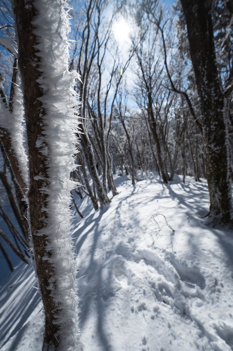 f:id:hiiro1017:20200213212412j:plain