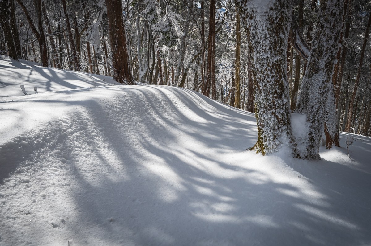 f:id:hiiro1017:20200213212416j:plain