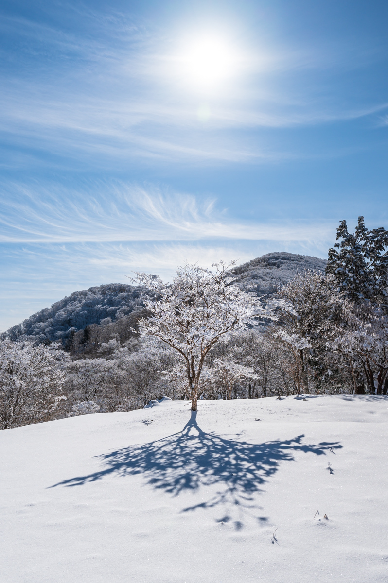 f:id:hiiro1017:20200215175410j:plain