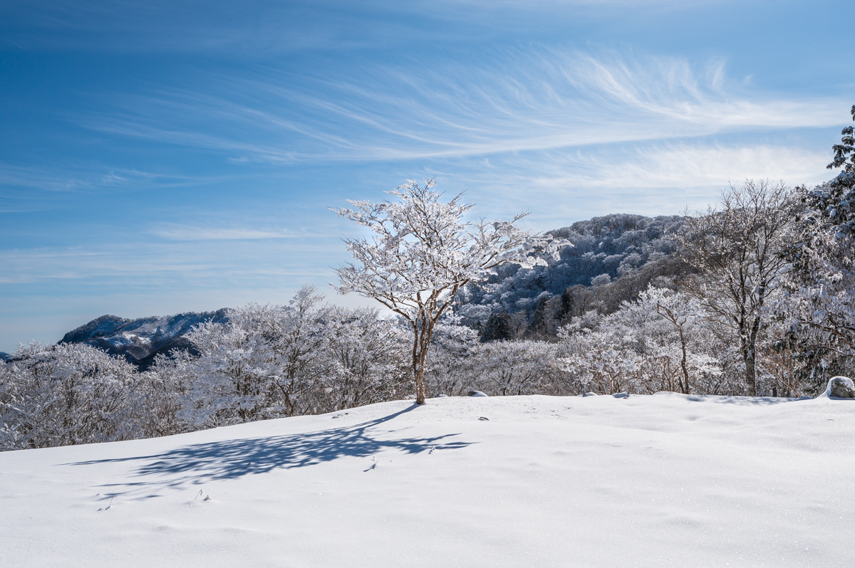 f:id:hiiro1017:20200215175517j:plain