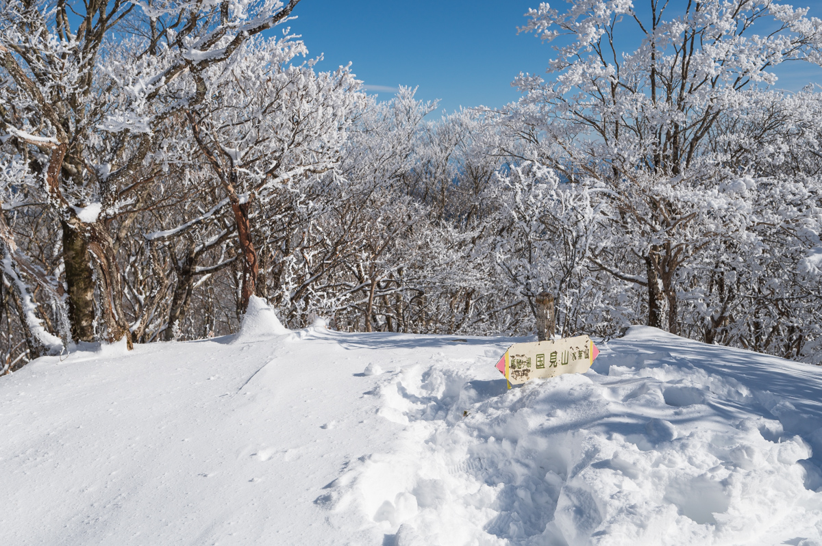 f:id:hiiro1017:20200215220402j:plain