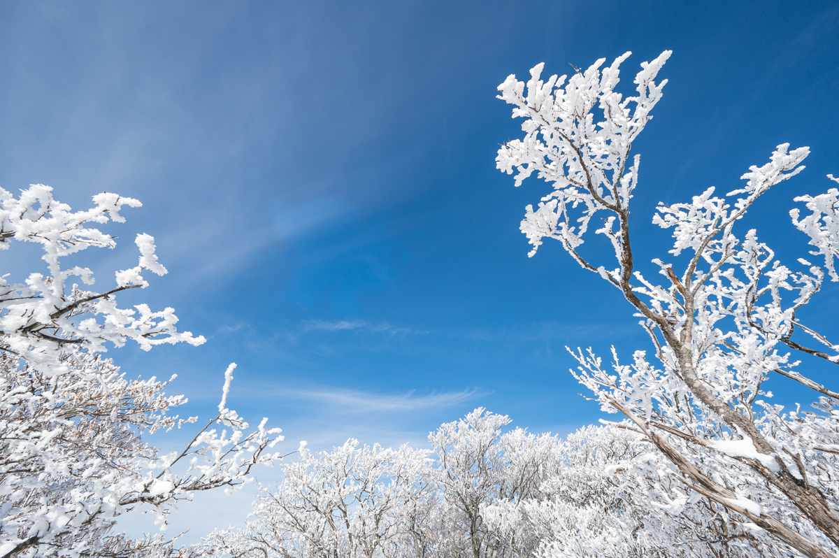 f:id:hiiro1017:20200215221514j:plain