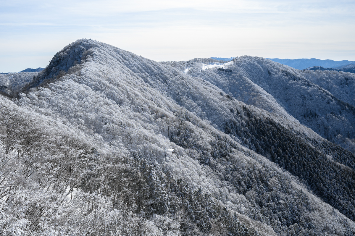 f:id:hiiro1017:20200215221948j:plain