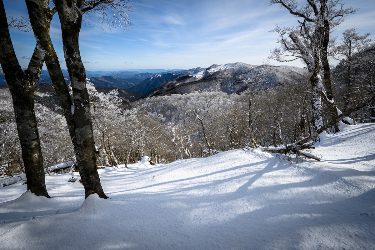 f:id:hiiro1017:20200215223048j:plain