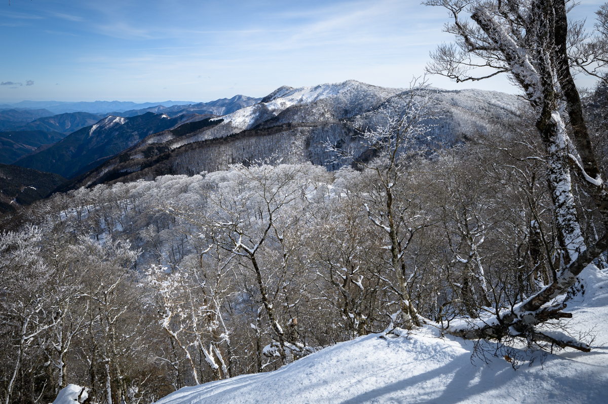 f:id:hiiro1017:20200215223121j:plain